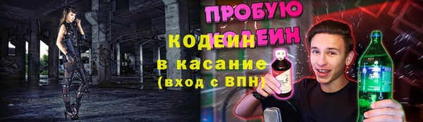 индика Богородск