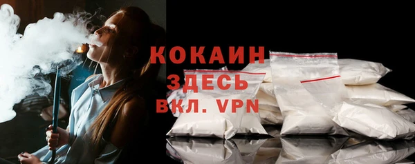 индика Богородск