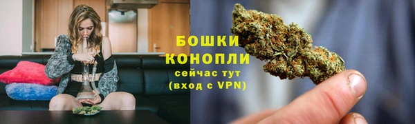 индика Богородск