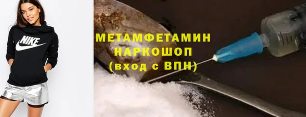 индика Богородск
