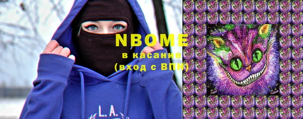 индика Богородск
