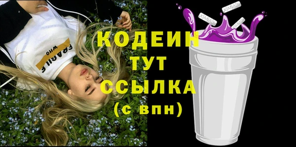 индика Богородск