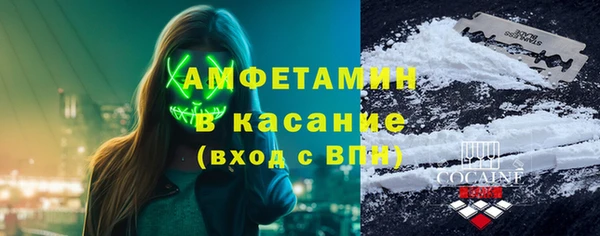 индика Богородск