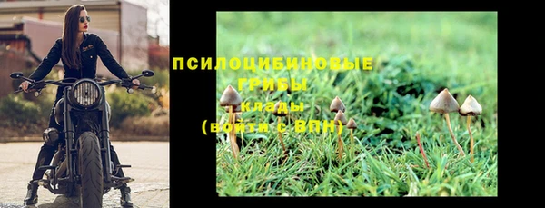 меф Горнозаводск