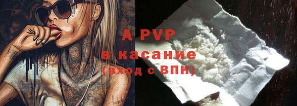 индика Богородск