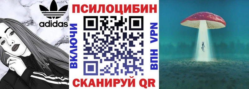 Галлюциногенные грибы Cubensis  kraken ТОР  Курильск 